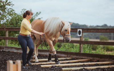 20.12.2025: Trail Tag, Weihnachtsspecial mit Nina Hölker