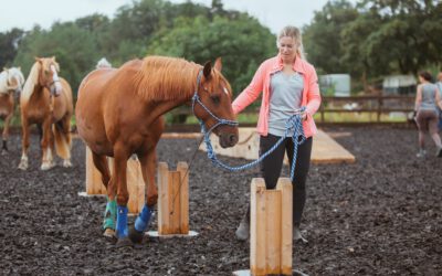 07. + 08.02.2026: Trail Tage in Menslage-Andorf