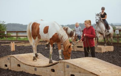 Tageskurs Extreme Trail am 24. + 25.01.2026 in Xanten
