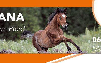 Wir sind auf der Equitana vom 06.-12.03.2025!